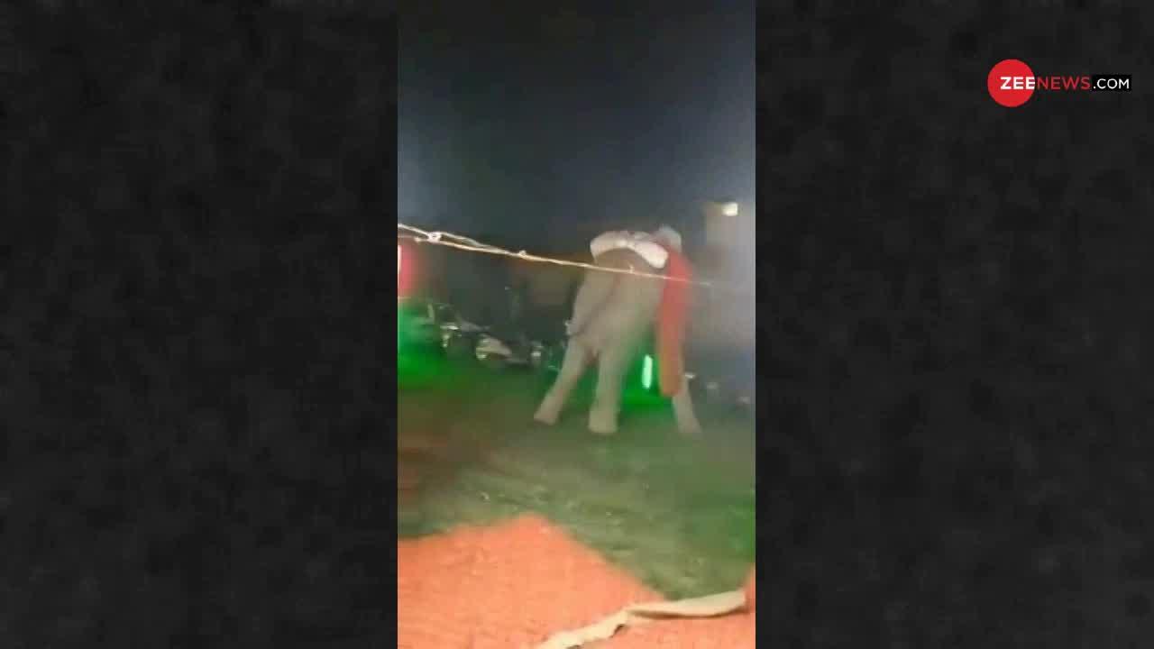 Viral Video: शादी में मचाया हाथी ने कोहराम, पंडाल-गाड़ियाँ तोड़ी..भागा दुल्हा!