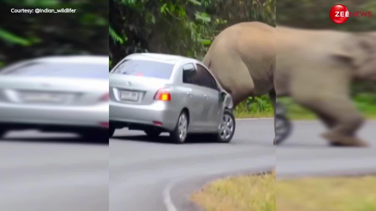 Angry Elephant Video: गाड़ी के अंदर बैठा था ड्राइवर, तभी गुस्से में आया हाथी और चढ़ गया ऊपर, निकाल दिया कुचुम्बर, फिर..