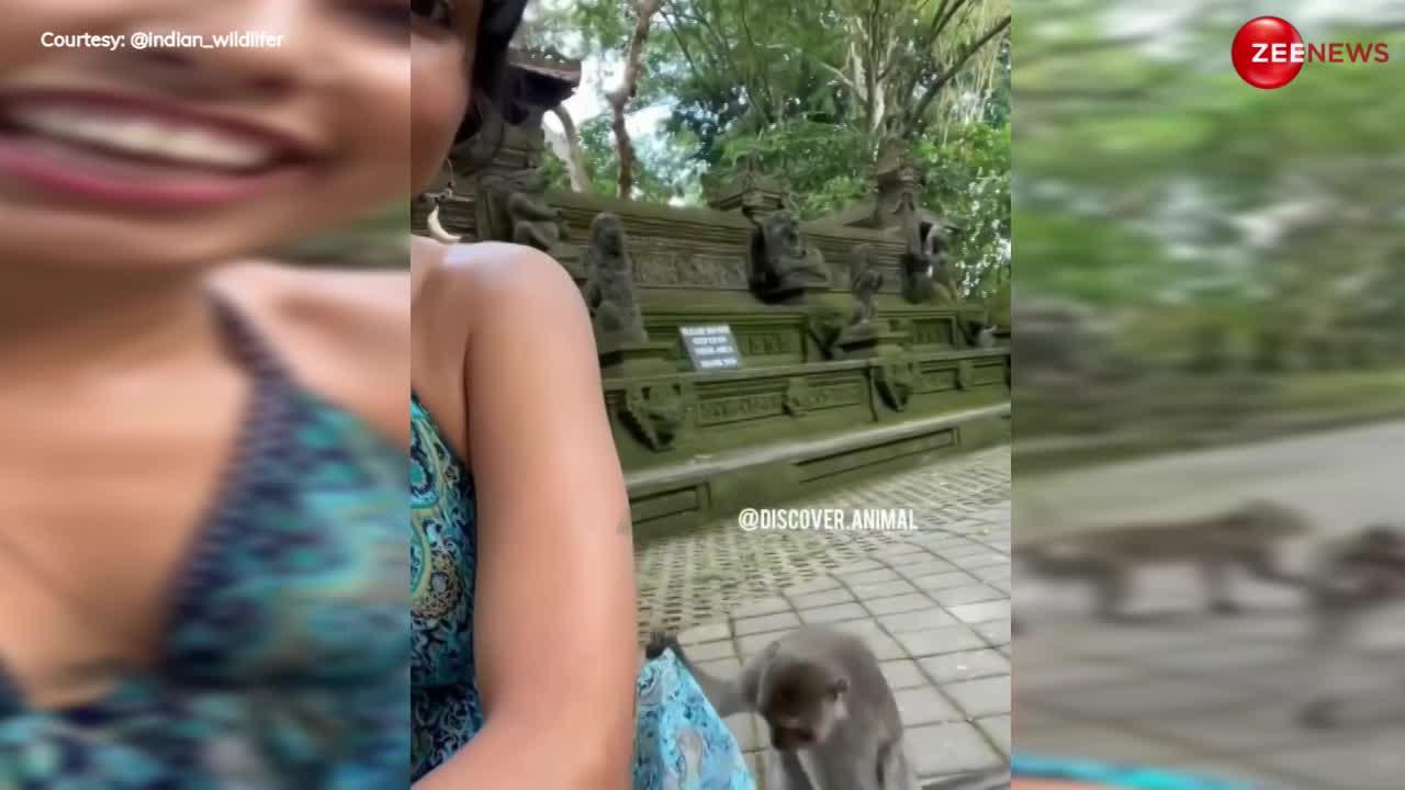 Monkey Girl Video: लड़की बना रही थी वीडियो, पीछे से बंदर ने आकर की ऐसी हरकत; देख बोले लोग- Men Will Be Men