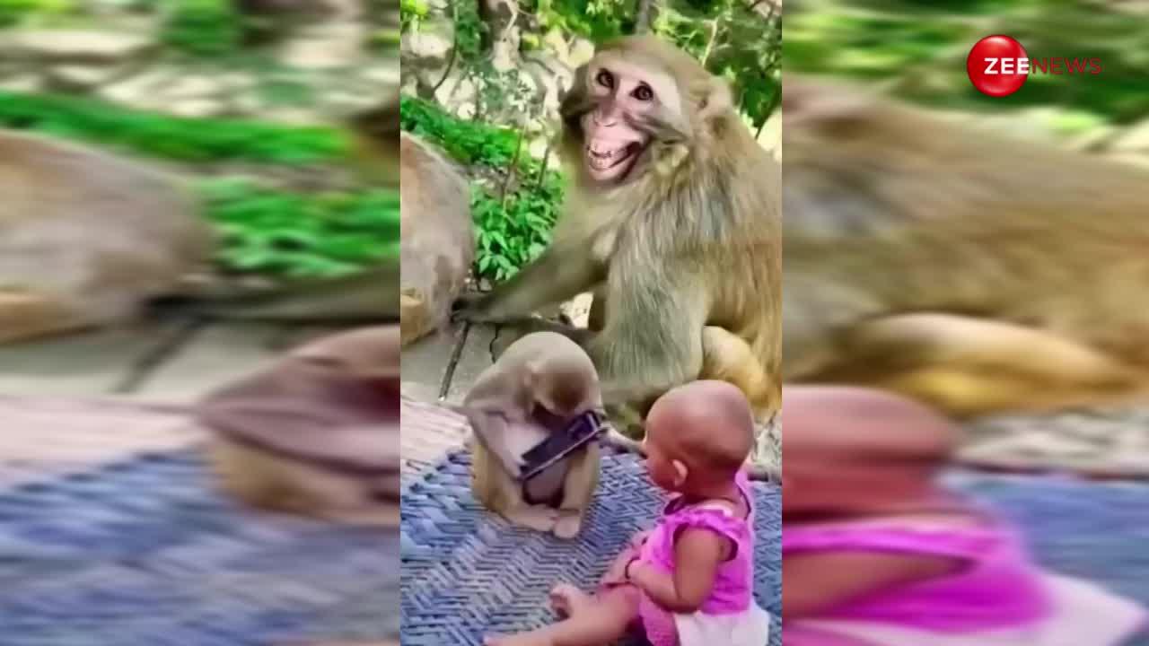 बंदर ने छिना 3 साल की बच्ची से फोन, फिर जो हुआ...