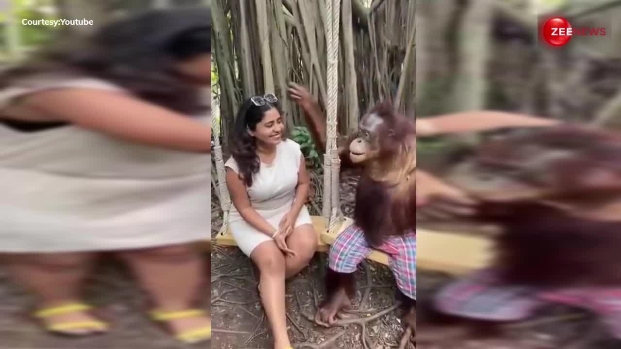 लड़की के साथ चिम्पांजी ने करवाई रोमांटिक फोटोशूट