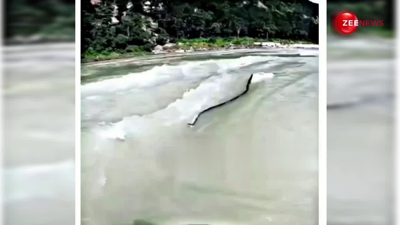 Rishikesh में River Rafting करने पहुंचा किंग कोबरा, लोगों ने कहा- नागिन से मिलने जा रहा