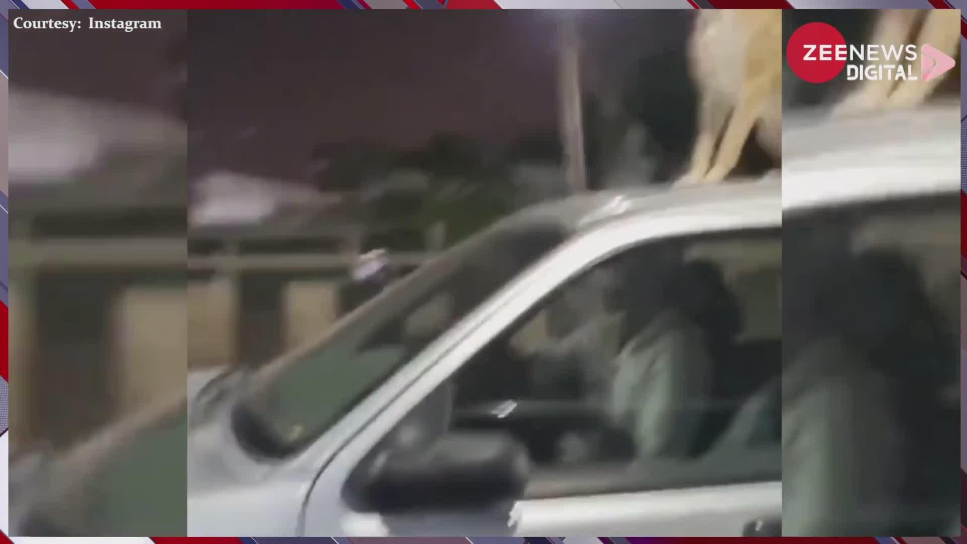 चलती कार की छत पर बैठे सफर कर रहे कुत्ते का वीडियो हुआ वायरल, लोगों ने जमकर लगाई मालिक की क्लास!