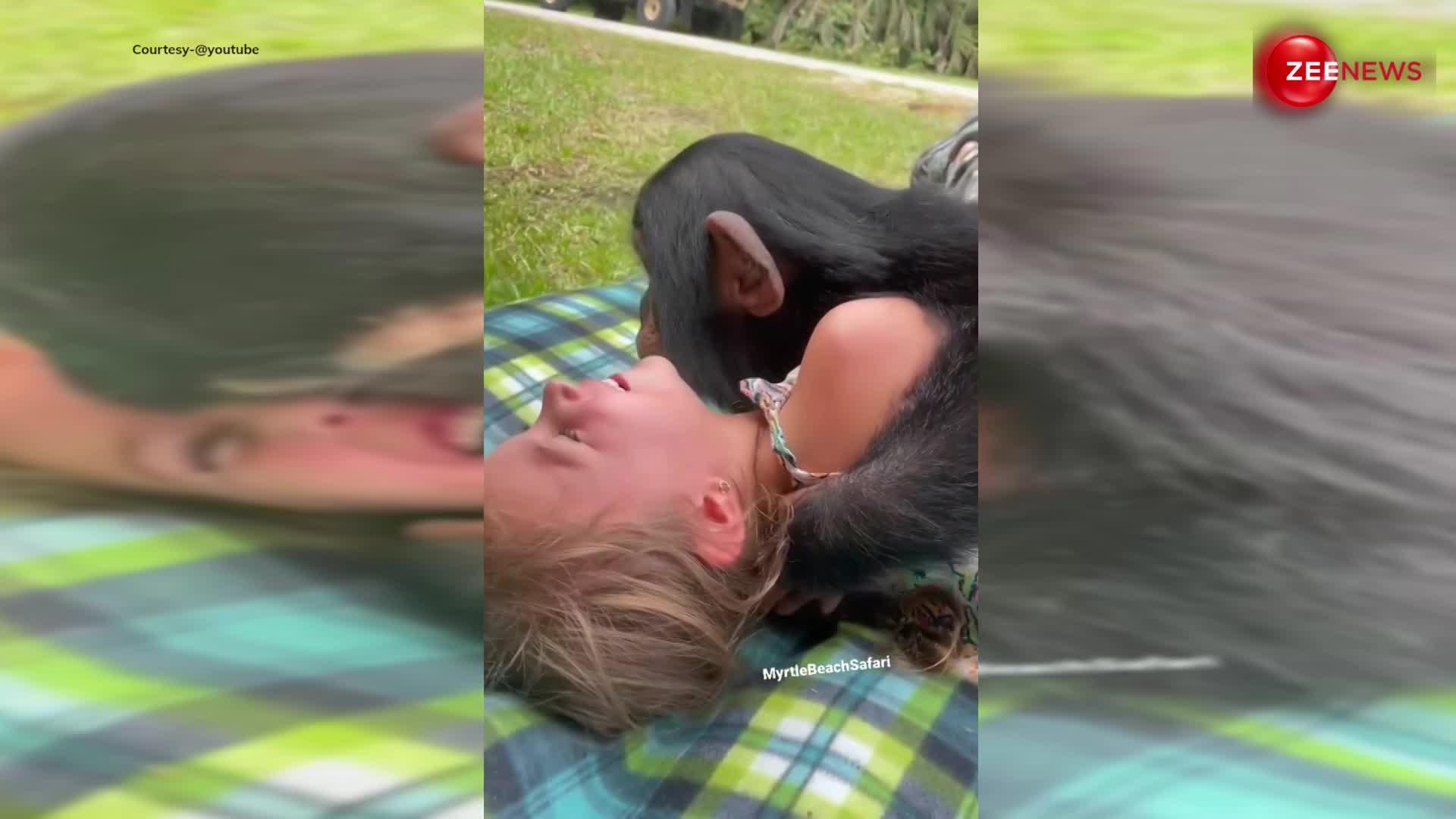 Gorilla Viral Video: गोरिल्ला के बच्चे ने पहले लड़की को लगाया गले, फिर लेटकर किया ऐसा; देख लोगों को लगा झटका