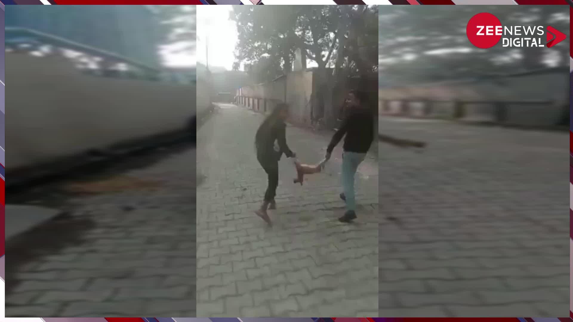 Viral: छोटे पिल्ले की टांगे पकड़कर लड़के-लड़की ने की ऐसी क्रूरता, वीडियो देख लोगों ने निकाला जमकर गुस्सा...