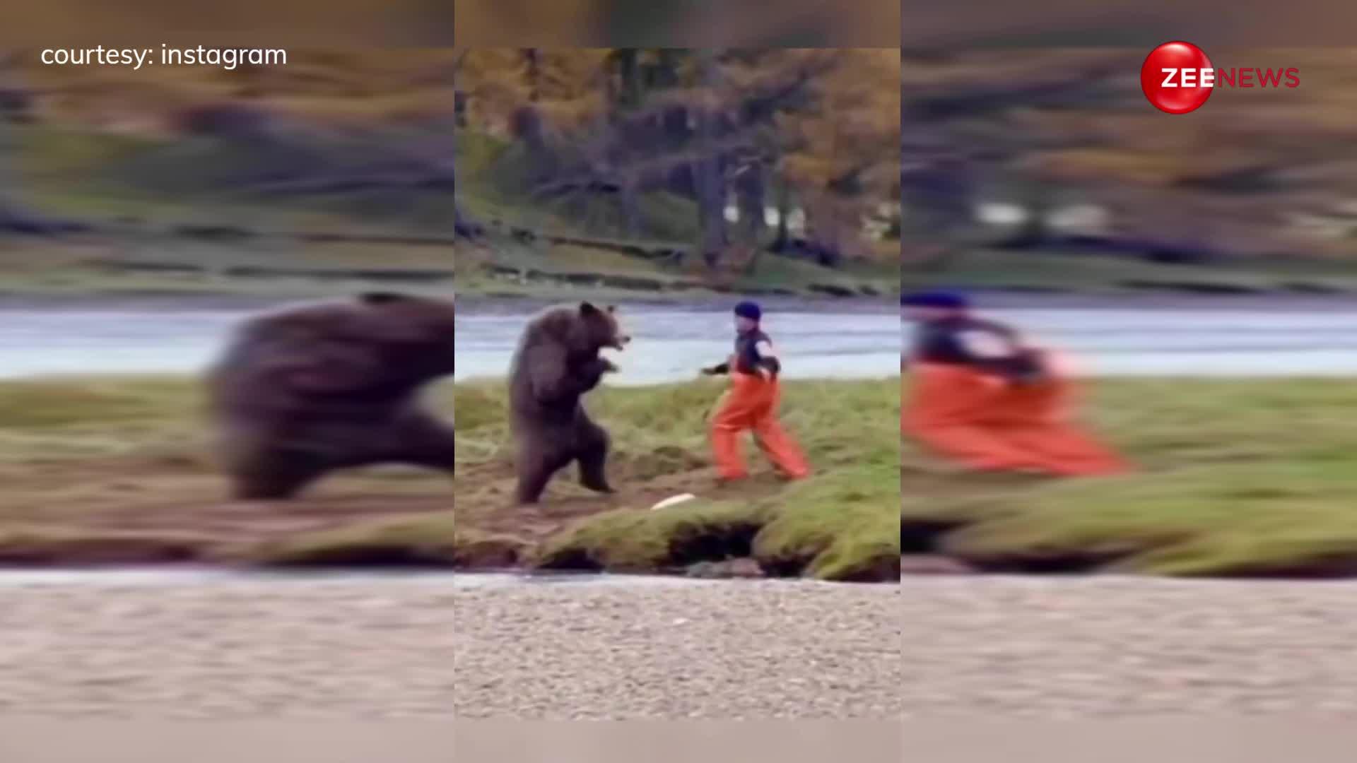 जंगल के बीच हुई इंसान और जंगली भालू की हैरतंगेज लड़ाई... वीडियो देखते ही अटक जाएगी आपकी जान