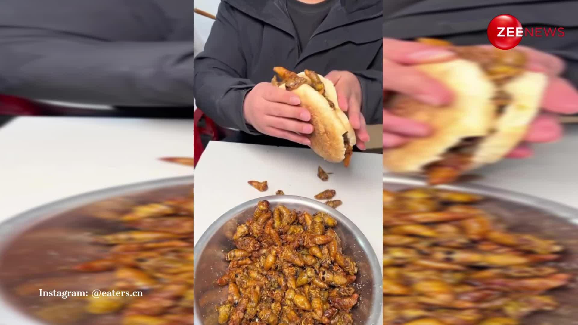 देखते ही देखते कीड़ों का बर्गर बना कर खा गया शख्स, Viral Video पर बोले लोग- अगला वायरस कमिंग सून