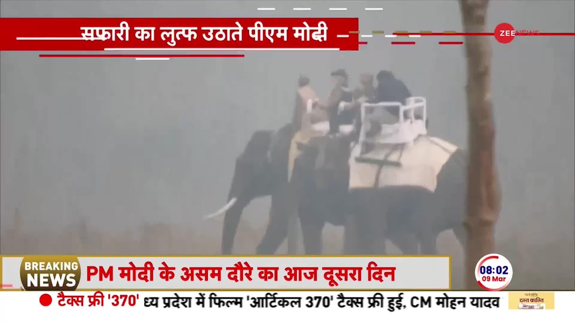 PM Modi Breaking: Kaziranga National Park में पीएम मोदी ने की हाथी की सवारी