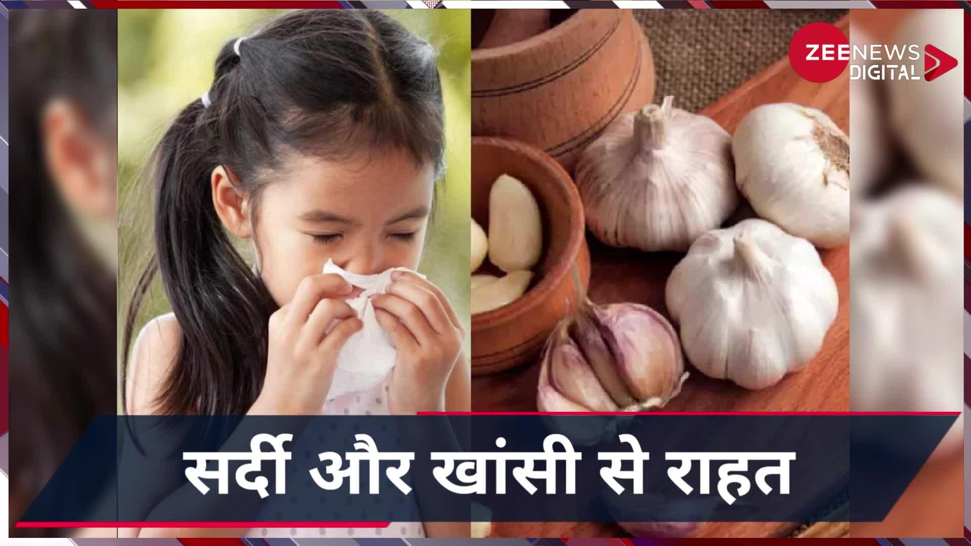 Garlic Benefits: सर्दी और खांसी की समस्या चुटकी में हो जाएगी दूर, करें ये उपाए