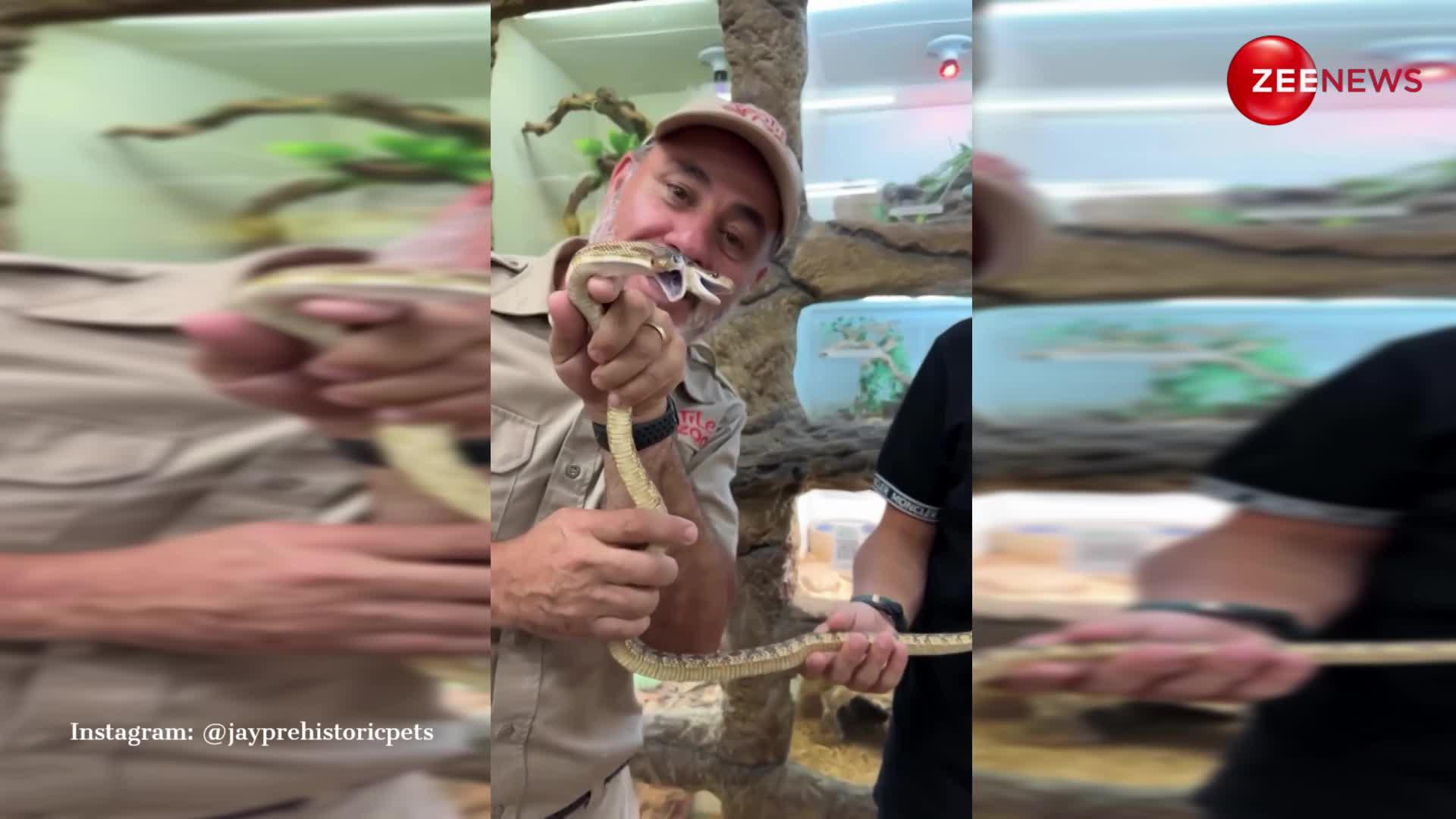 Snake Video: 2 मुंह वाले सांप से पंगा लेना शख्स को पड़ा भारी, 15 सेकंड में निकल गई हेकड़ी
