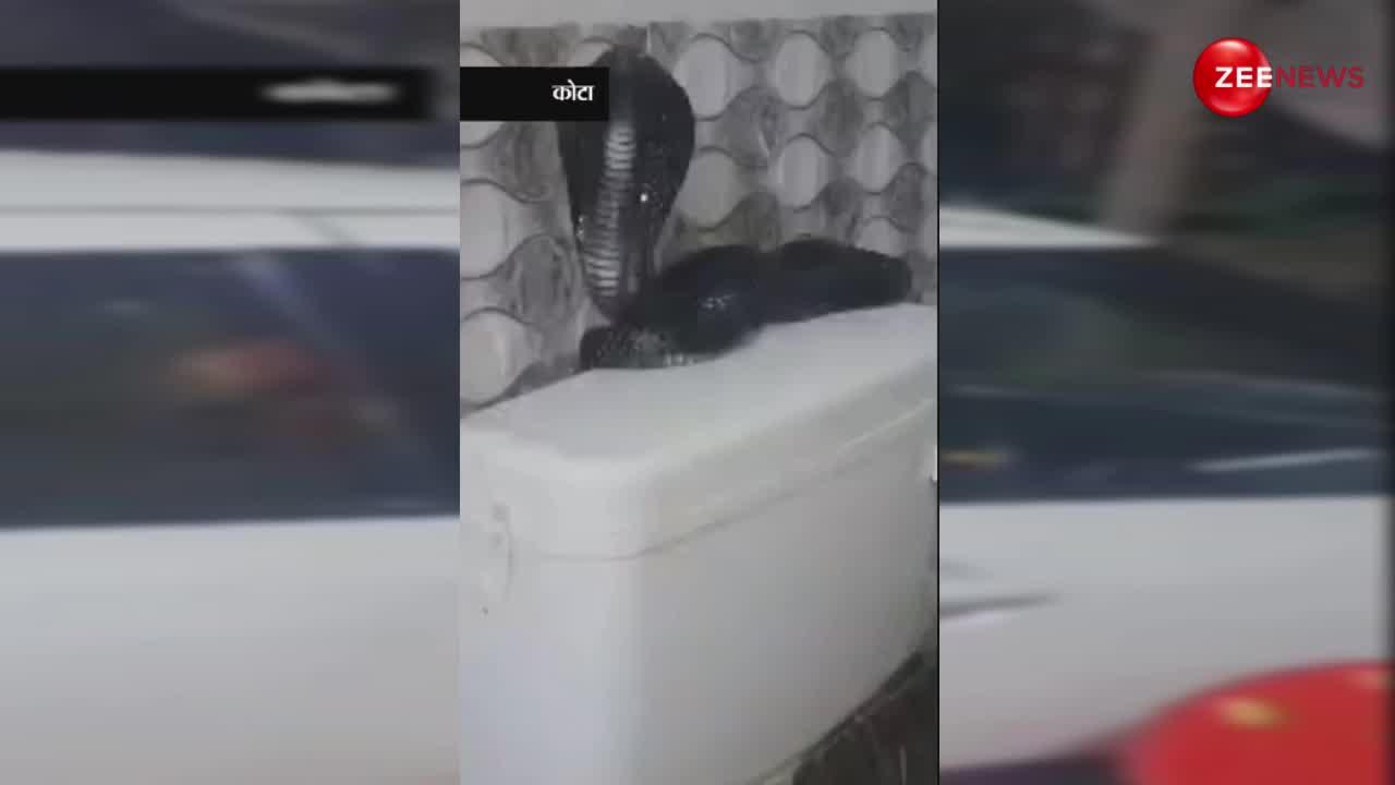 बाथरूम में टॉयलेट फ्लश टैंक पर बैठा मिला 5 फीट लंबा किंग कोबरा, खतरनाक सांप को देख उड़े घर वालों के होश