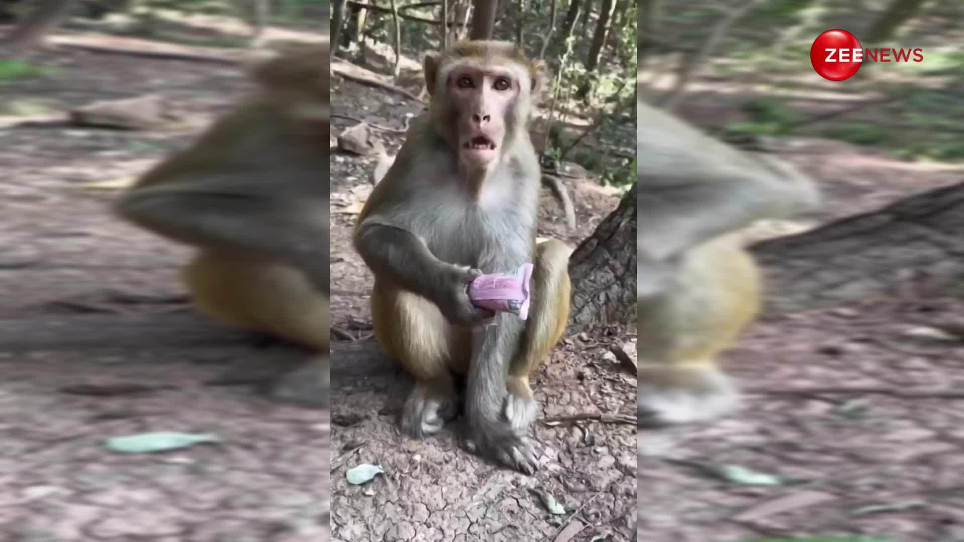 Video: बचपन में पढ़ी थी नकलची बंदर की कहानी, आज देख भी लिया