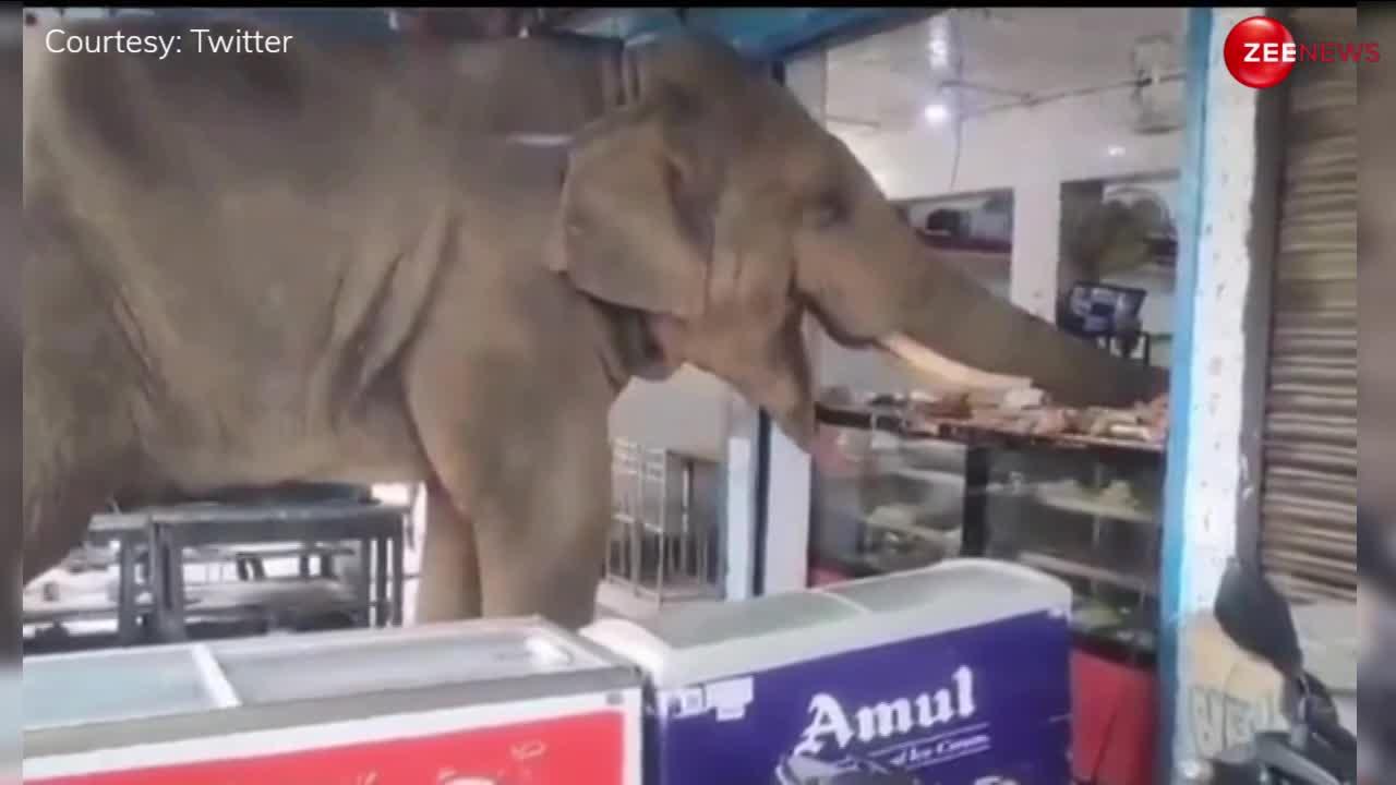 पसंदीदा मिठाई खाने के लिए दुकान पर पहुंचा हाथी, लेकिन चोरी करते देख दुकानदार को आया गुस्सा कर डाला ये काम...