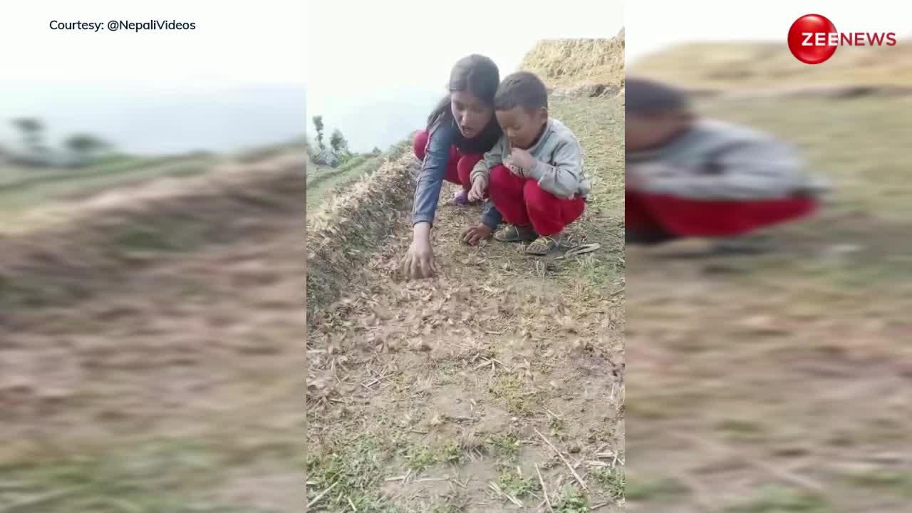 Brother Sister Viral Video: खेत में उड़ रहे थे कीड़े, भाई-बहन पकड़-पकड़कर खाने लगे, देख चकराया लोगों कि सिर