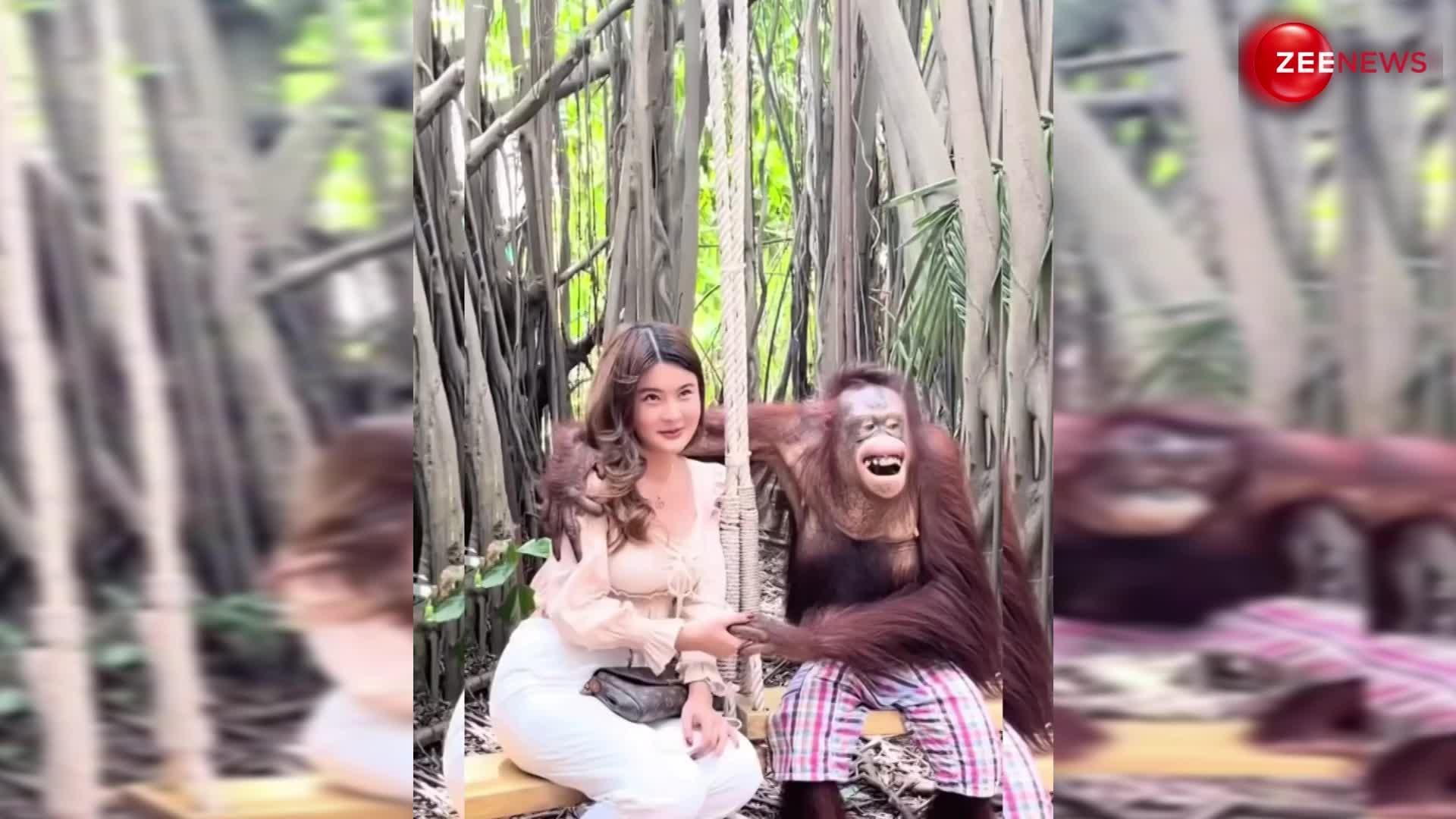 Naughty Gorilla video: जू में पहुंची लड़की को गोरिला ने किस कर किया प्रोपोज़, आगे हुआ कुछ ऐसा; देख लड़की हो गई बेहोश