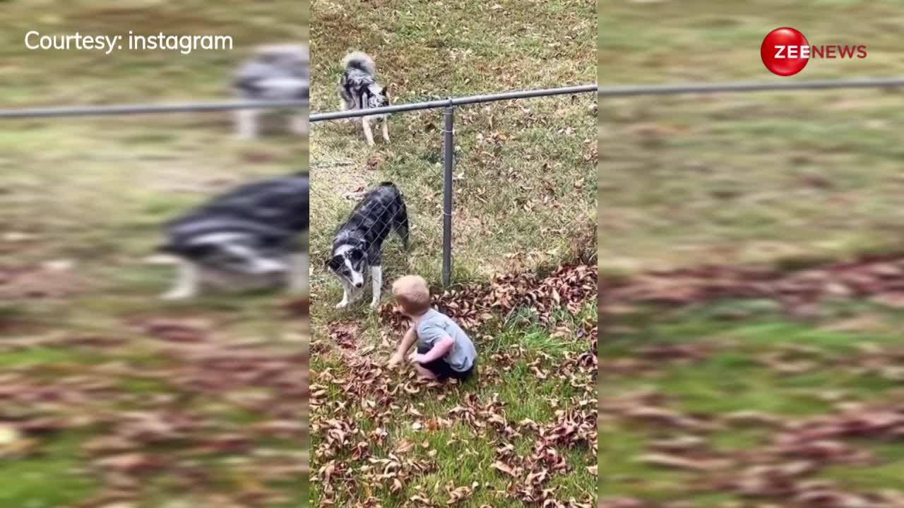 कुत्ते के साथ खेल रहा था 1 साल का बच्चा, लोगों ने मां-बाप को इस बात के लिए कर दिया ट्रोल