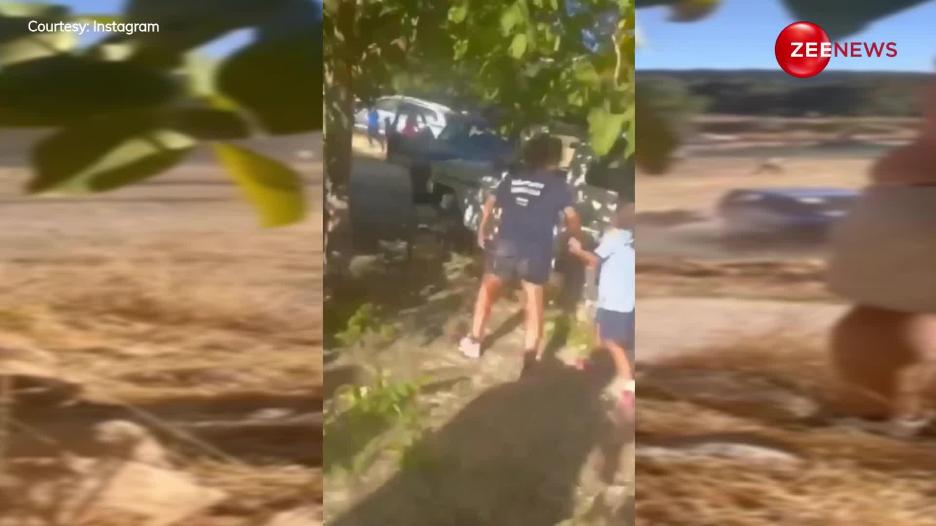 Viral Video: सांड ने आदमी को दौड़ा-दौड़ाकर मारा, वीडियो देखकर हैरान रह जाएंगे आप