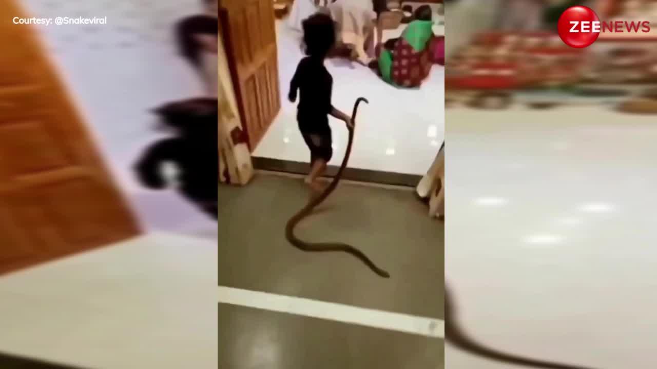 Cobra Video: दो साल का नादान बच्चा किंग कोबरा को खिलौना समझ ले आया घर, हाथ में पकड़कर दिखाने लगा घरवालों को....