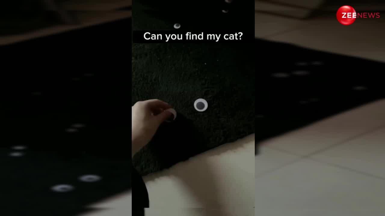 इस पायदान में छिपी है काली बिल्ली, वीडियो खत्म होने से पहले ढूंढ पाएंगे आप ?