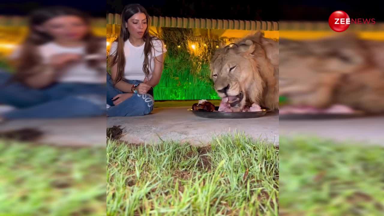 बब्बर शेर के साथ बैठकर एक ही थाली में खाना खाती दिखी लड़की, खौफनाक वीडियो देख अटक जाएगी सांस