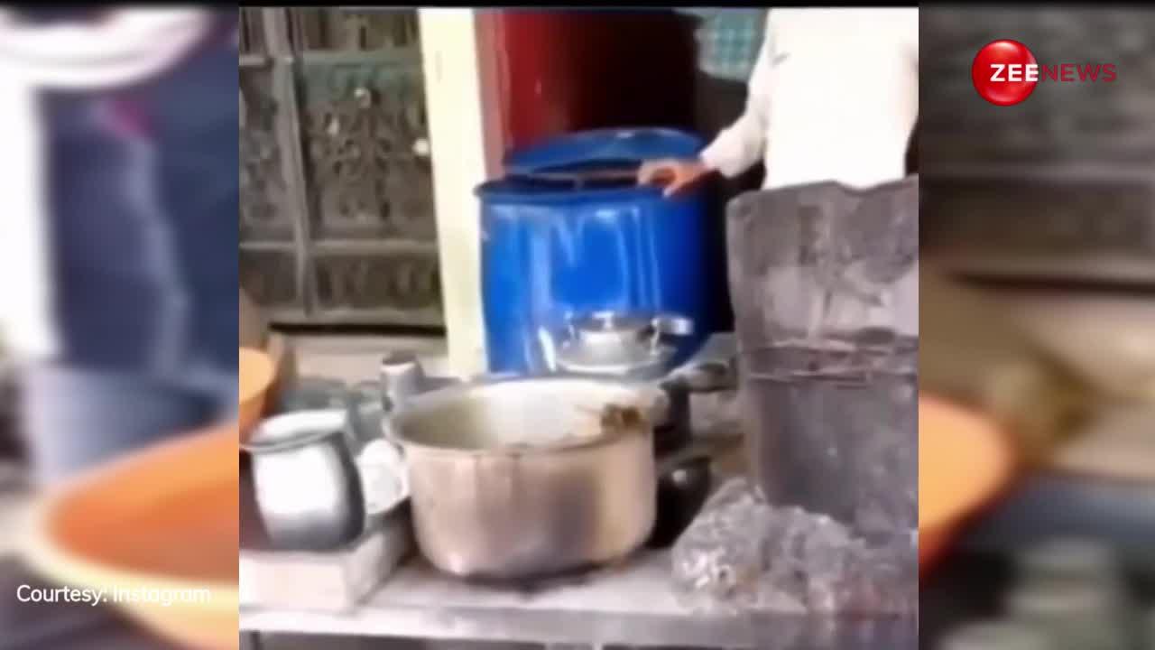 चाय वाले ने बंदर को रखा दिहाड़ी पर, प्लेट धोने का करता है काम, देखें यह जबरदस्त वीडियो