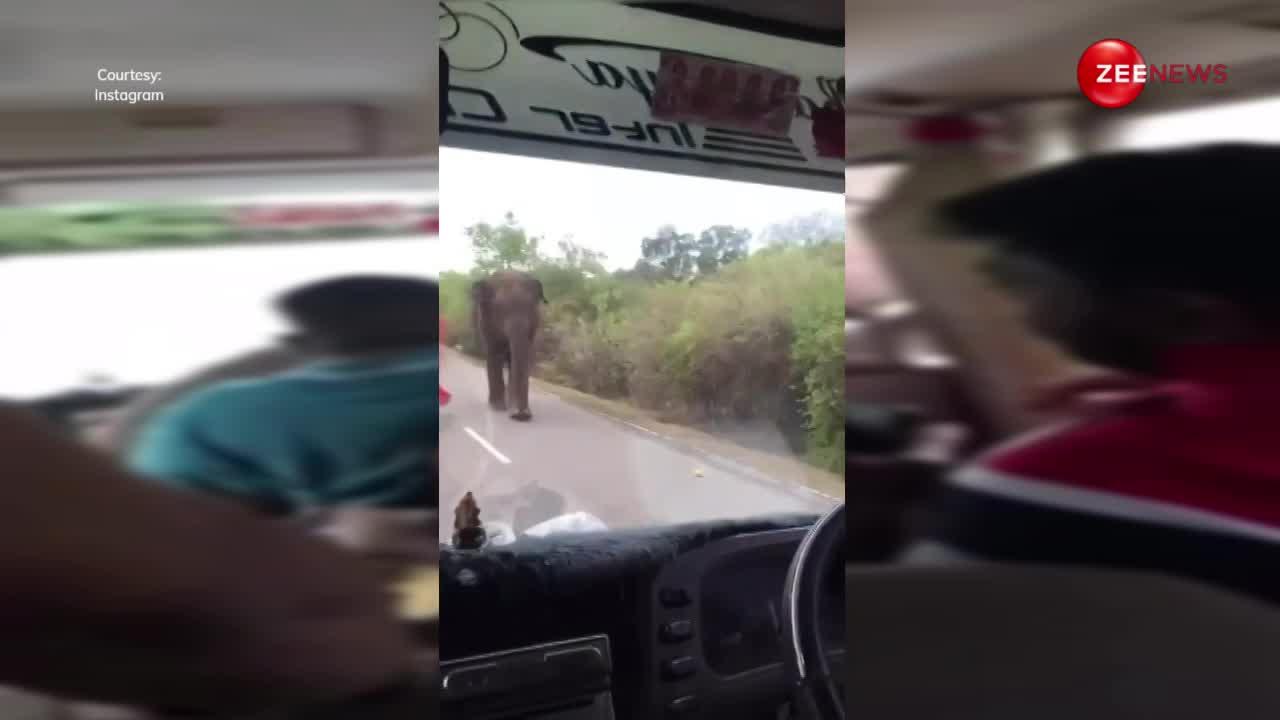 चलती बस के अंदर घुस आया जंगली हाथी, यात्रियों की हालत हुई खराब