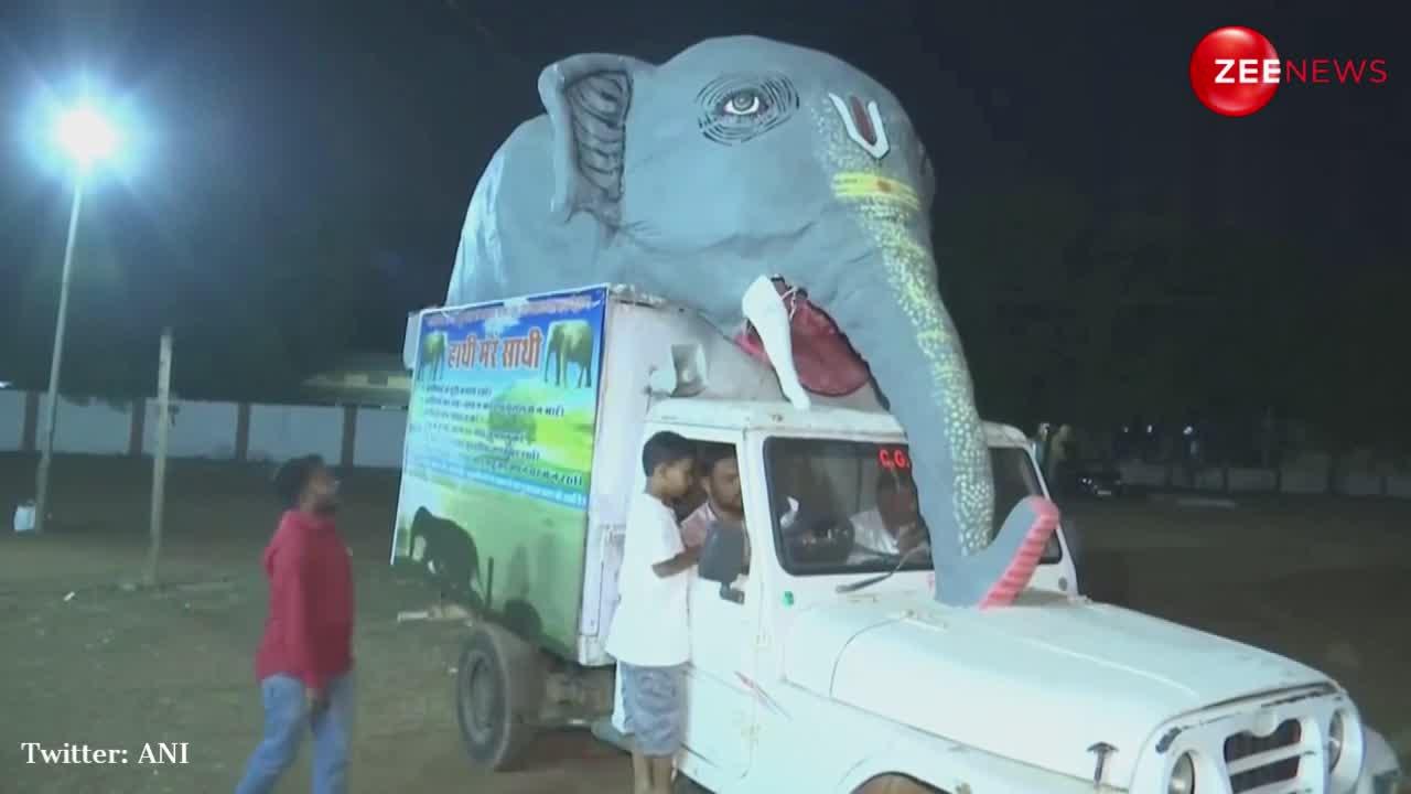 Video: हाथी के हमले से बचने के लिए छत्तीसगढ़ में निकली 'गजयात्रा', इन ट्रिक्स से मिनटों में समझ जाएंगे जानवर का मूड