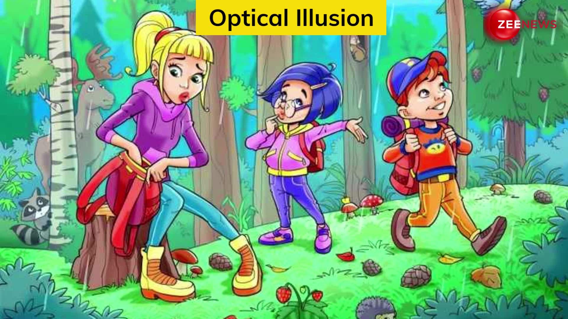 Optical Illusion: ज्यादा तेज नजर है, तो जल्दी से फोटो में ढूंढ कर दिखाओ छिपा हुआ छाता