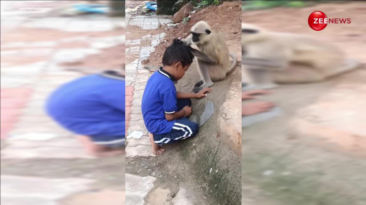 बच्चे के सिर में हुई खुलजी तो लंगूर के सामने जाकर बैठ गया, ढूंढती रही मम्मी