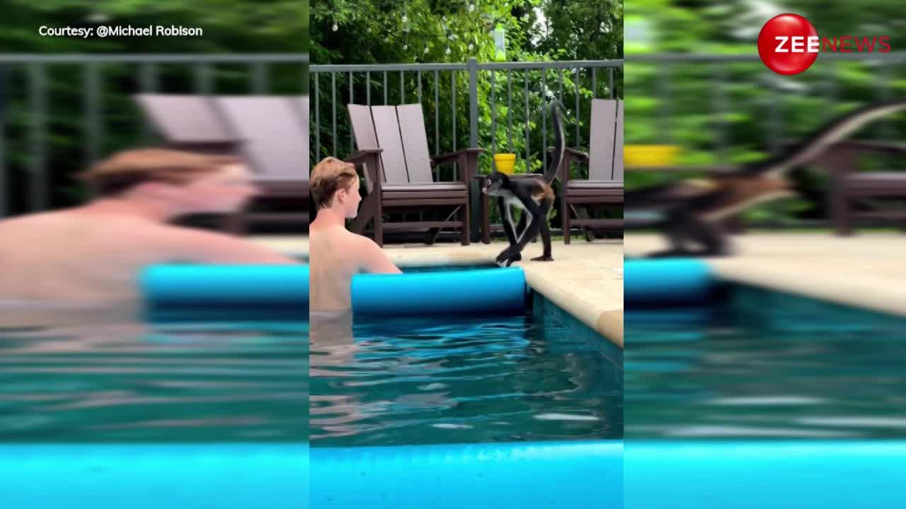 Viral Video: स्विमिंग पूल में नहा रहे लड़के के पास आकर बंदर ने किया किस, फिर निकलते बना... यूजर्स बार-बार देख रहे हैं वीडियो
