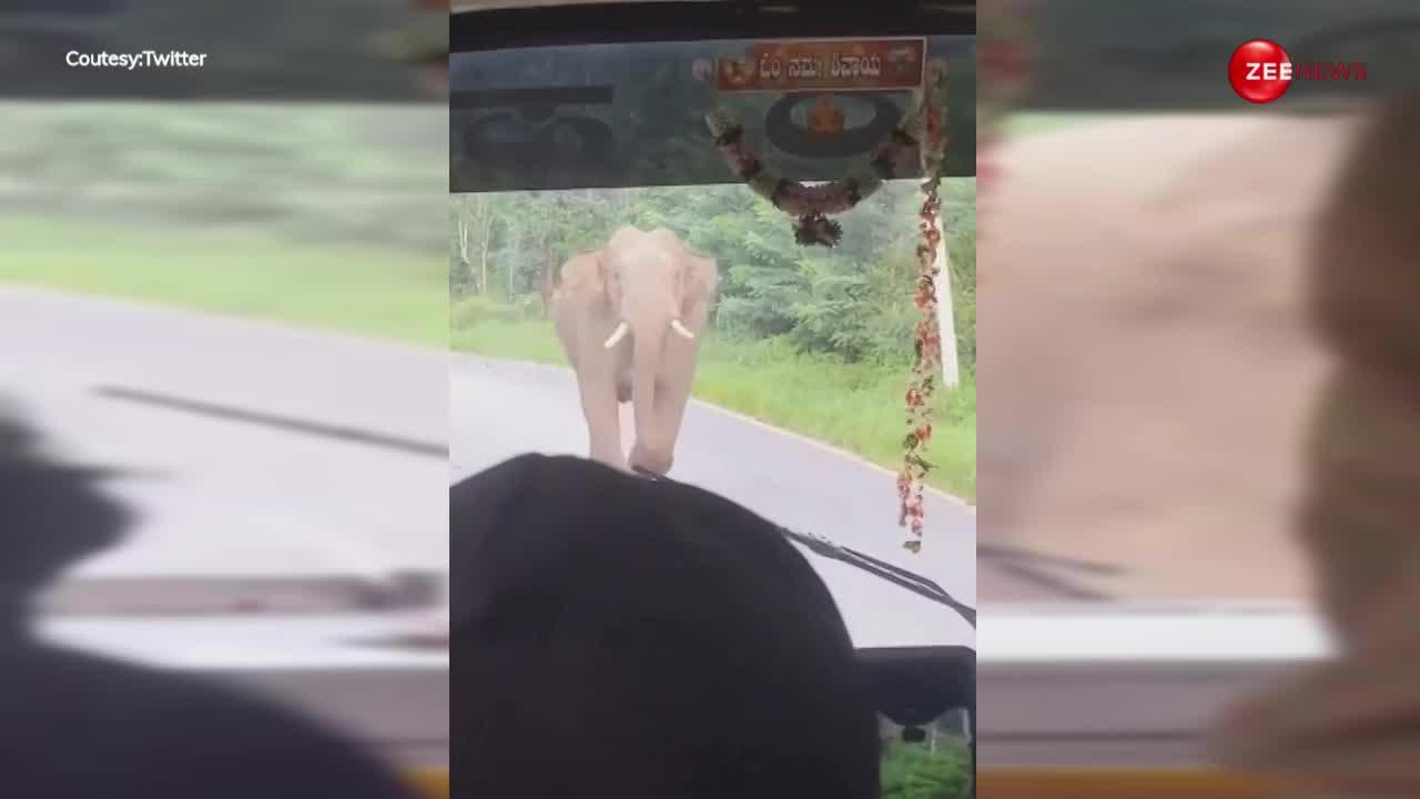बीच सड़क मस्ती में चल रहा था हाथी, लोगों से भरी बस देख आ गया गुस्सा और दौड़ा मारने फिर...