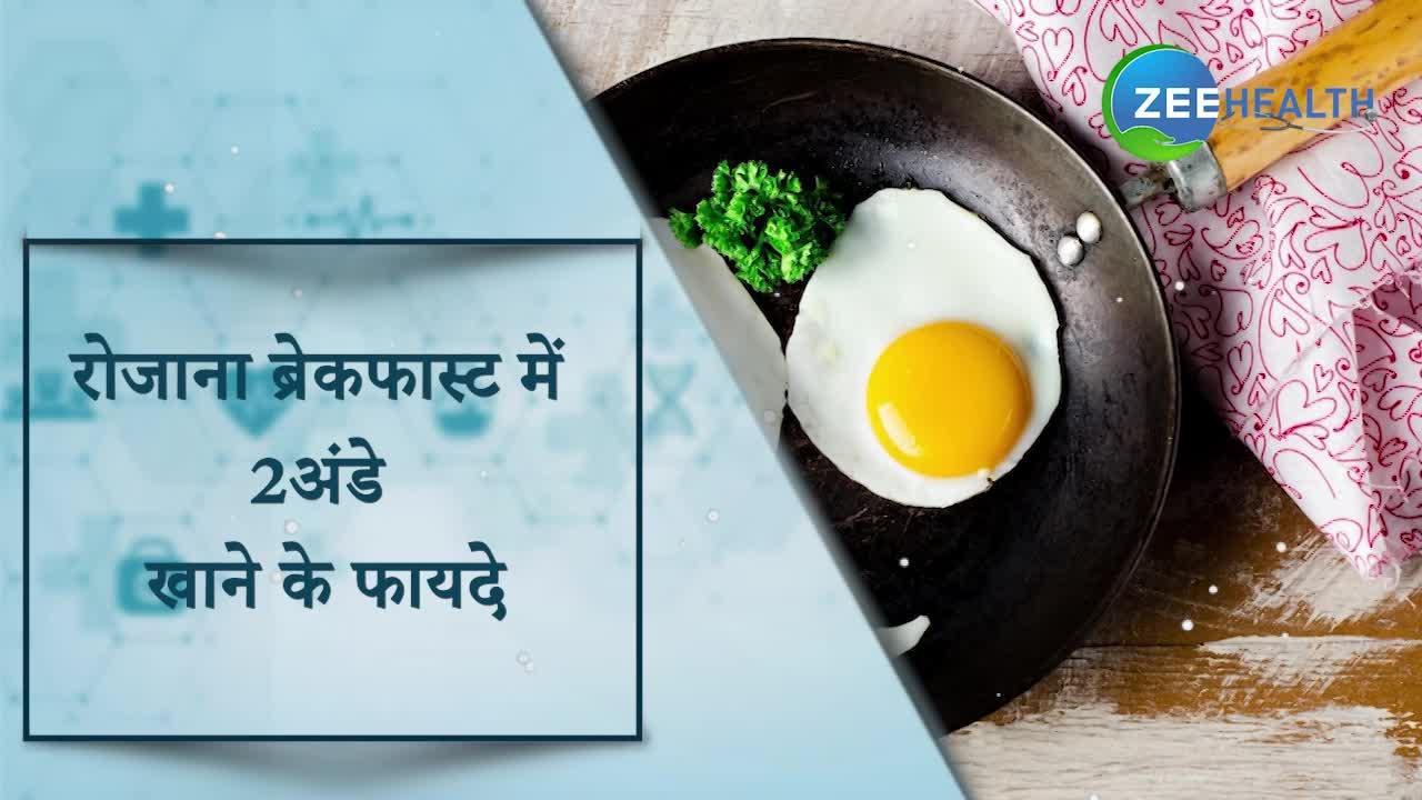 Egg Breakfast: क्या आप जानते हैं कि ब्रेकफास्ट में 2 अंडे खाना कितना जरूरी है?