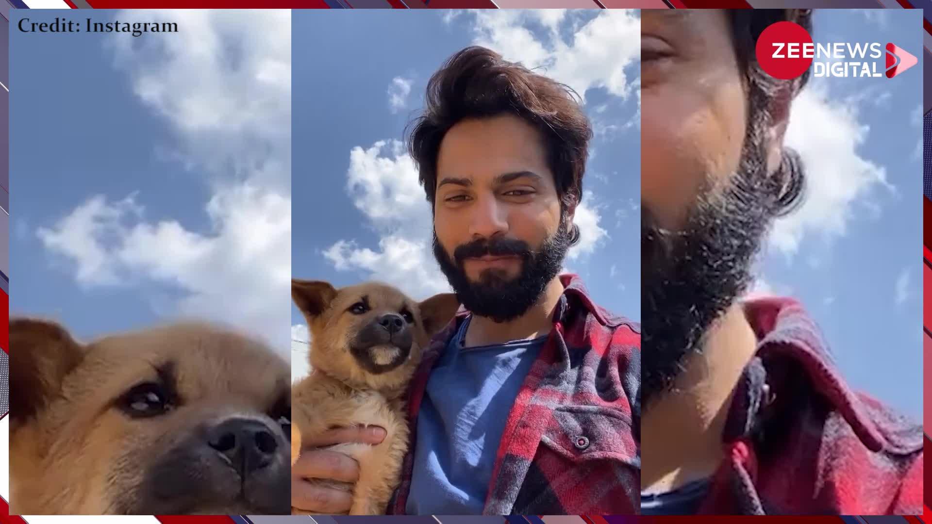 'भेड़िया' के साथ देखें Varun Dhawan का ये Cute Video