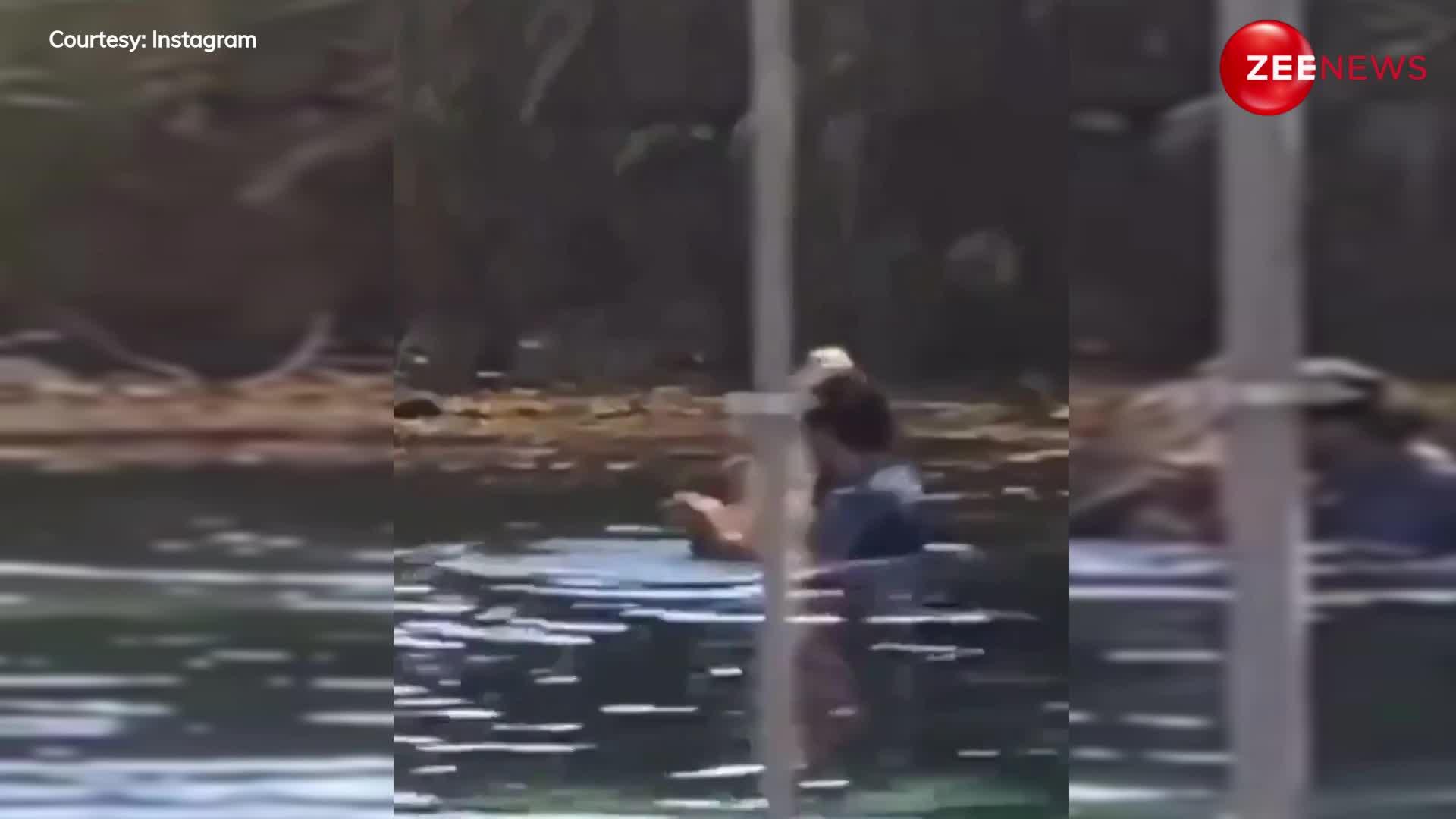 Viral Video: शख्स ने की पागलपन की हद को पार, पानी में करने लगा मगरमच्छ के साथ रोमांटिक डांस, पहले नहीं देखा होगा ऐसा वीडियो