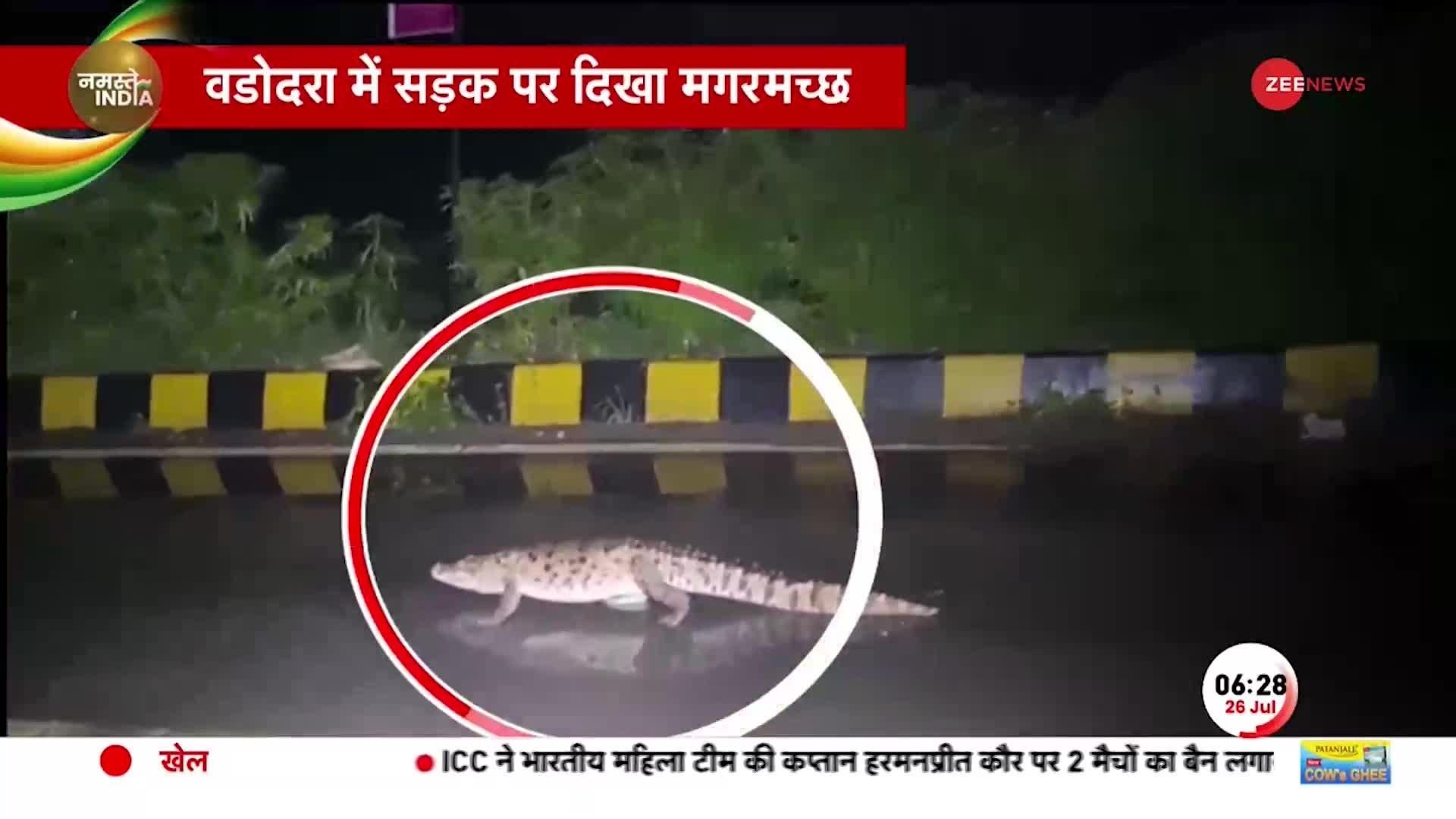 Vadodara Crocodile: भारी बारिश के बाद सड़कों पर दिखा मगरमच्छ, वन विभाग की टीम ने किया रेस्क्यू