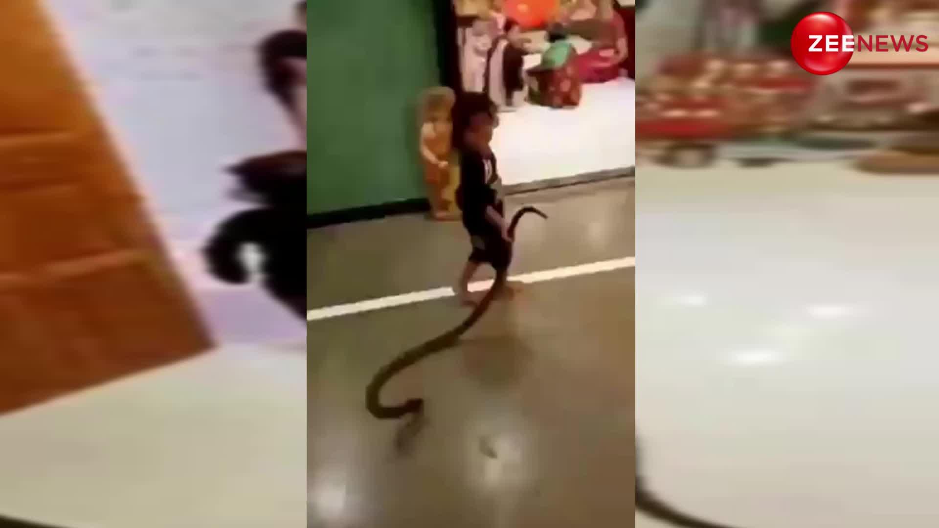 King Cobra Video: किंग कोबरा को लेकर छोटी बच्ची पहुंची पड़ोसी के घर, फिर हुआ कुछ ऐसा देखकर काप जाएंगी रूह