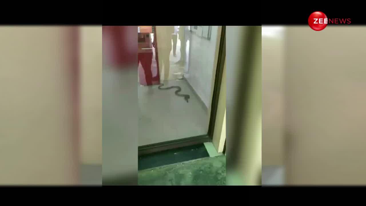 एटीएम से पैसे निकालने पहुंचा सांप, 15 फीट के कोबरा ने मशीन में जमाया अपना डेरा