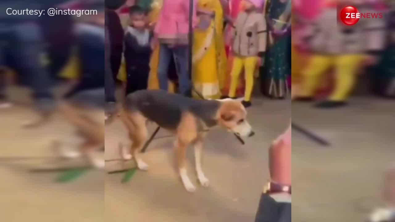 अंकल से ज्यादा रिदम में कुत्ते ने किया बारात में डांस, वीडियो देख लोग बोले- यही तो दूल्हे का बेस्ट फ्रेंड है