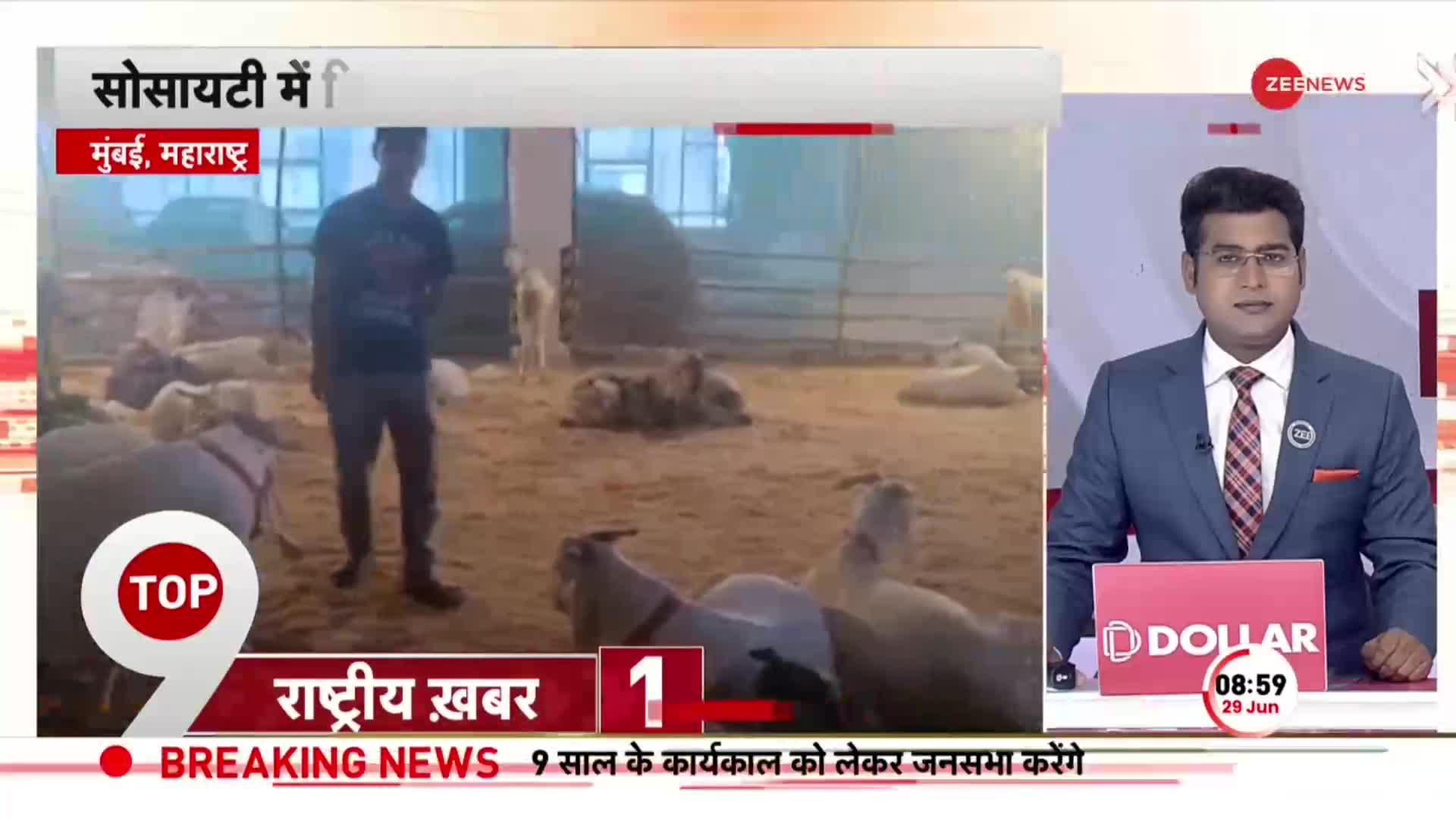 Bakra Eid 2023: Mumbai की एक Society में मिले 55 बकरे, Parking में छिपाकर रखा था