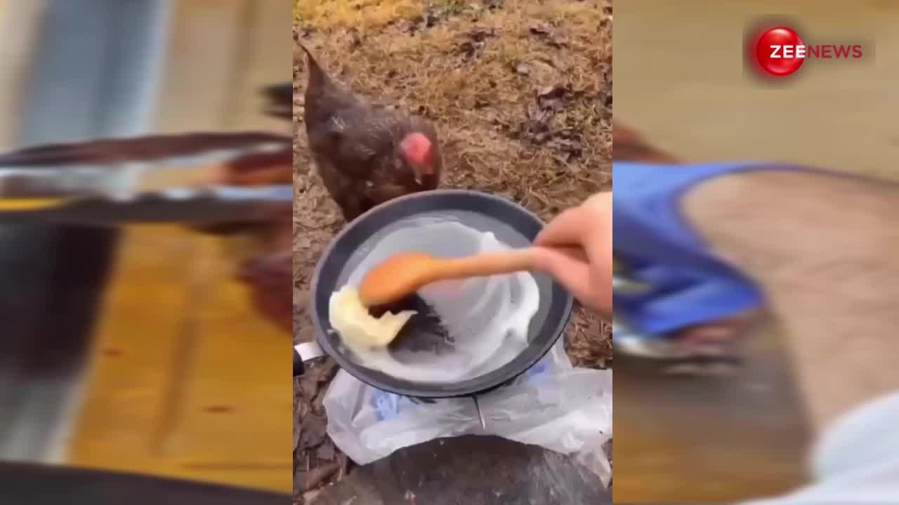 पहले मु्र्गे ने इस शख्स के पैन से चुराया बटर, तो गुस्से में शख्स ने उसी मुर्गे का बना डाला तंदूरी बटर चिकन, देखें वीडियो