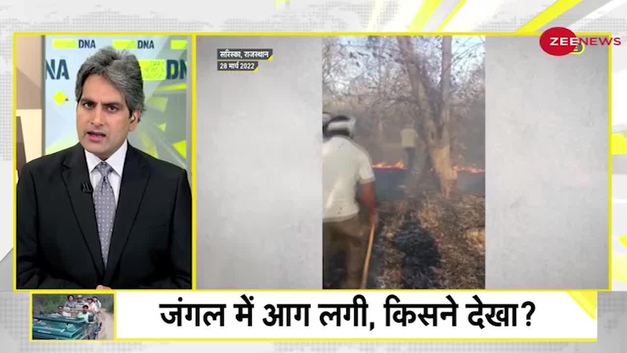 DNA: जंगल जल रहा था, Anjali Tendulkar को पिकनिक करा रहे थे अधिकारी