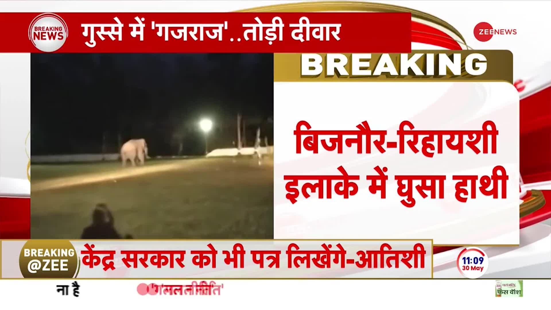 बिजनौर में रिहाइशी इलाके में घुस गया हाथी