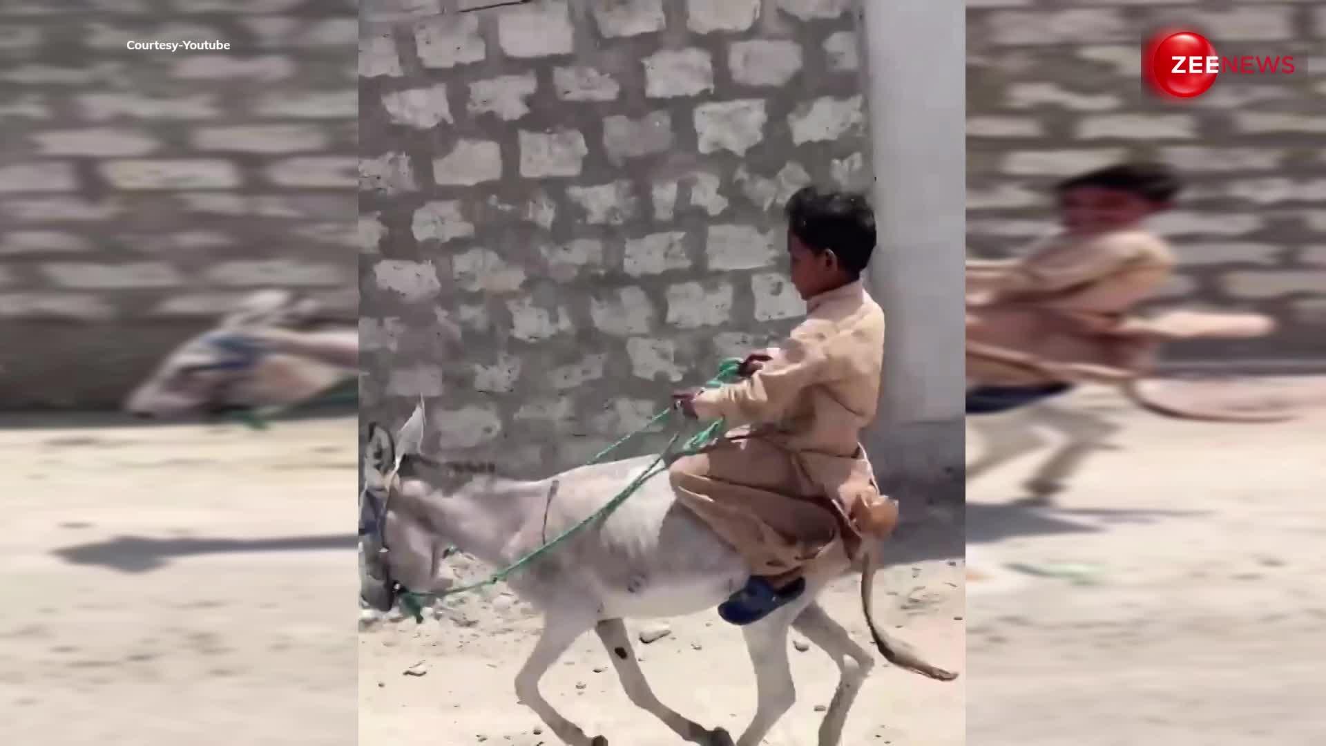 Donkey ride video: घोड़े की सवारी छोड़ लड़के ने की गधे की सवारी वीडियो देख, हंसी से लोट-पोट हुए लोग