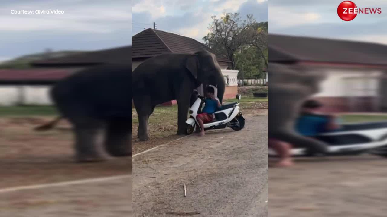 Elephant Video: कभी दाएं कभी बाएं, कभी गिरने से बचाया.... हाथी ने सिखाई युवक को स्कूटी चलाना... देख हैरान रह गए लोग