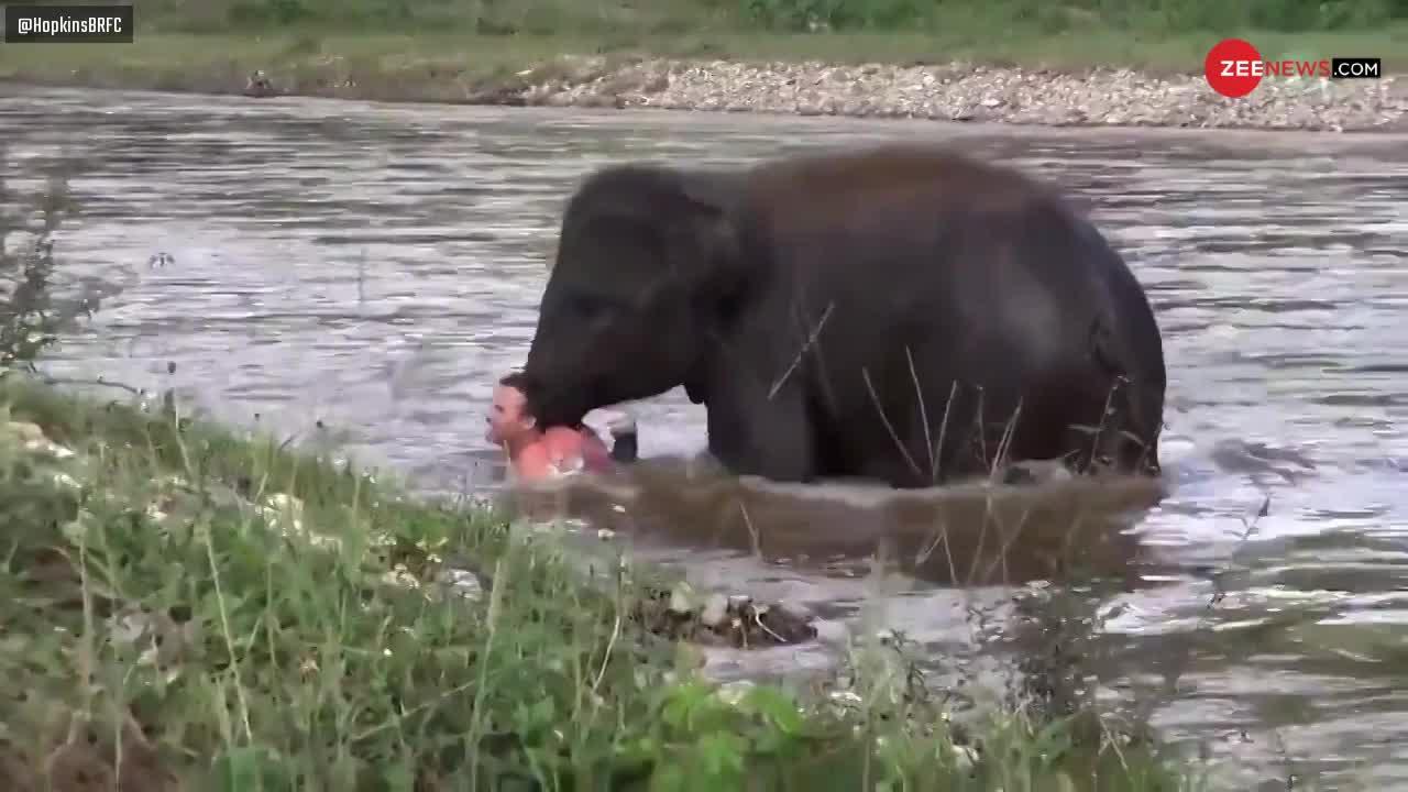 Viral Video: क्या हाथी की गलतफहमी ने युवक की जान बचा दी?
