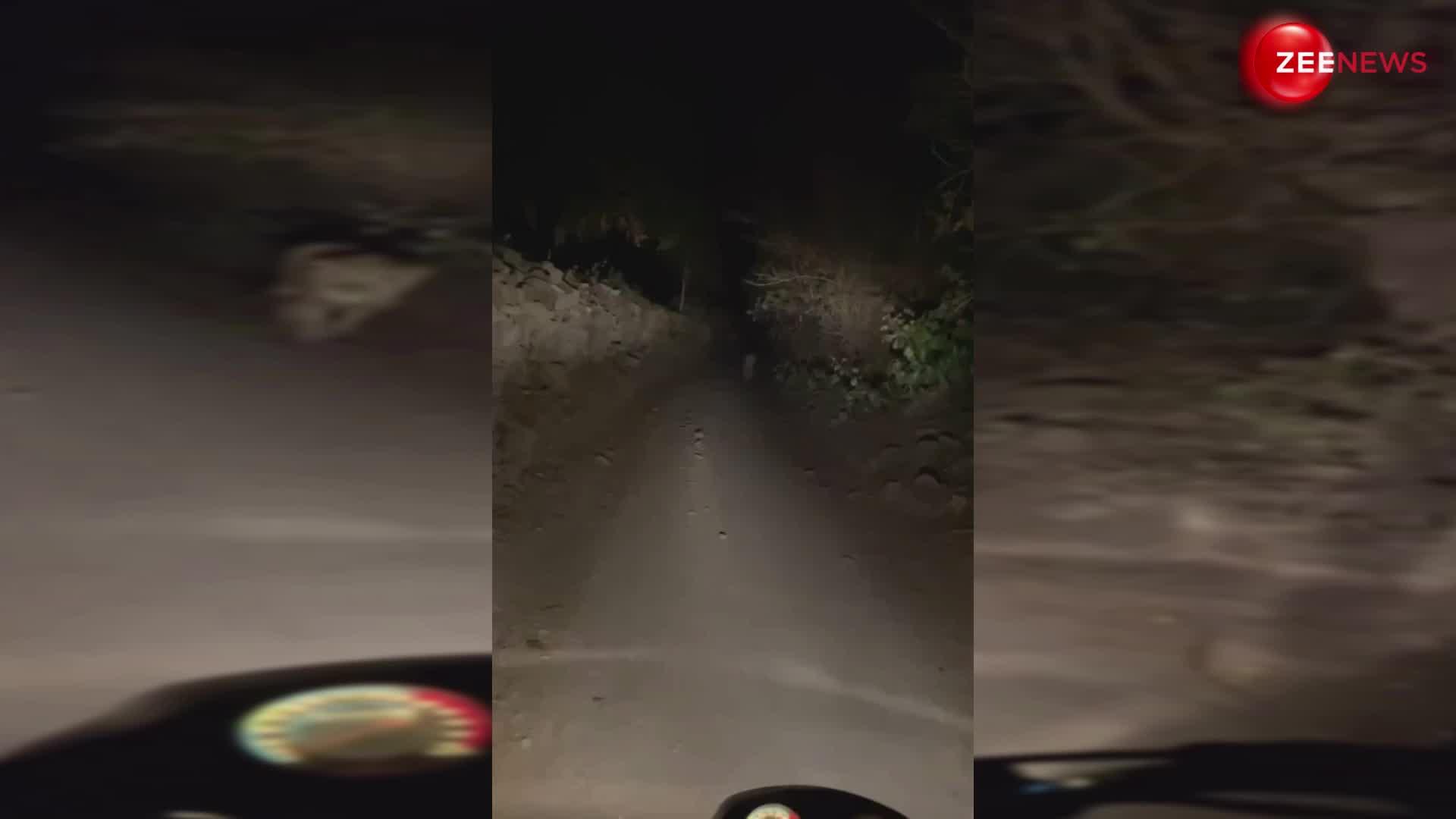 जंगल के कच्चे रास्ते से गुजर रहे थे बाइक सवार तभी अचानक आ धमका शेर, पूरा वीडियो देख लोगों की हालत हुई खराब