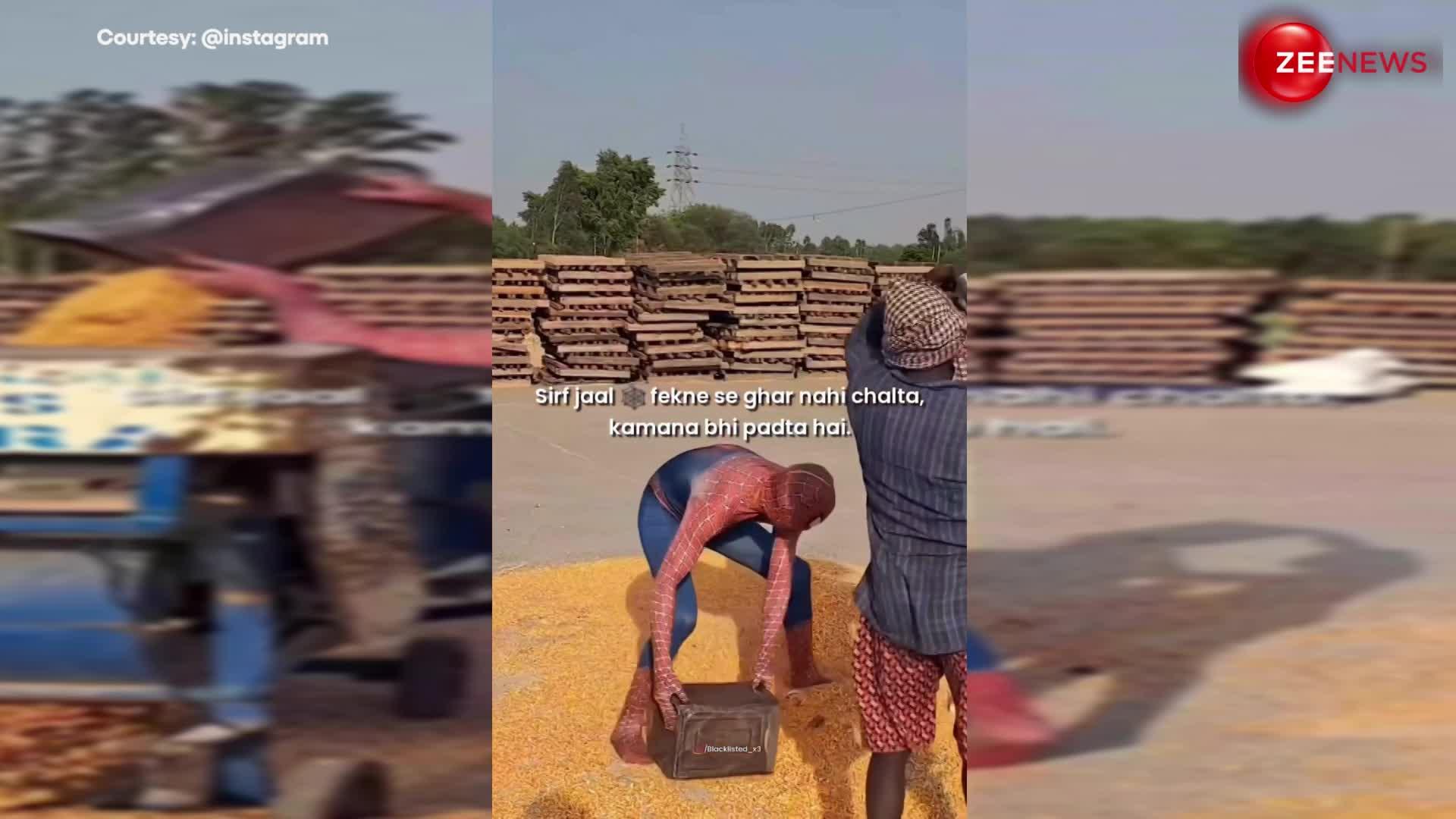 मजेदार वीडियो: मजदूरों की तरह काम करता दिखा स्पाइडरमैन, वीडियो देख लोग बोले- सिर्फ जाल फेकने से घर नहीं चलता!